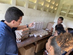 IMG-4511